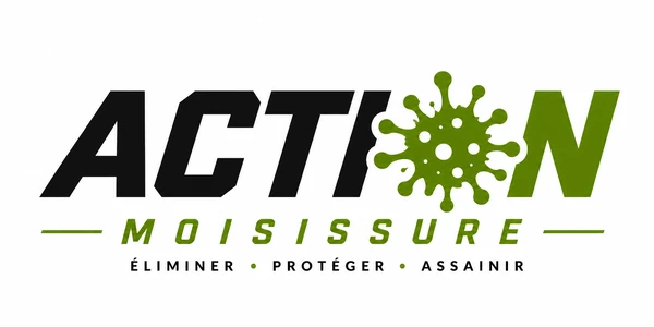 Action Moisissure — Éliminer, Protéger, Assainir